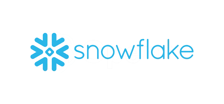 Snowflake logo